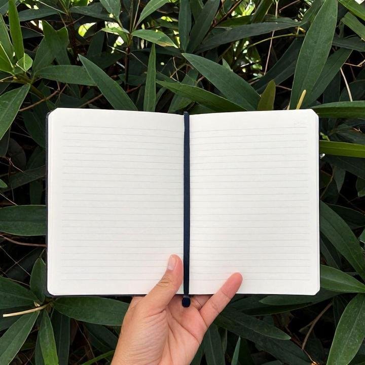 Conclusão Conclusão